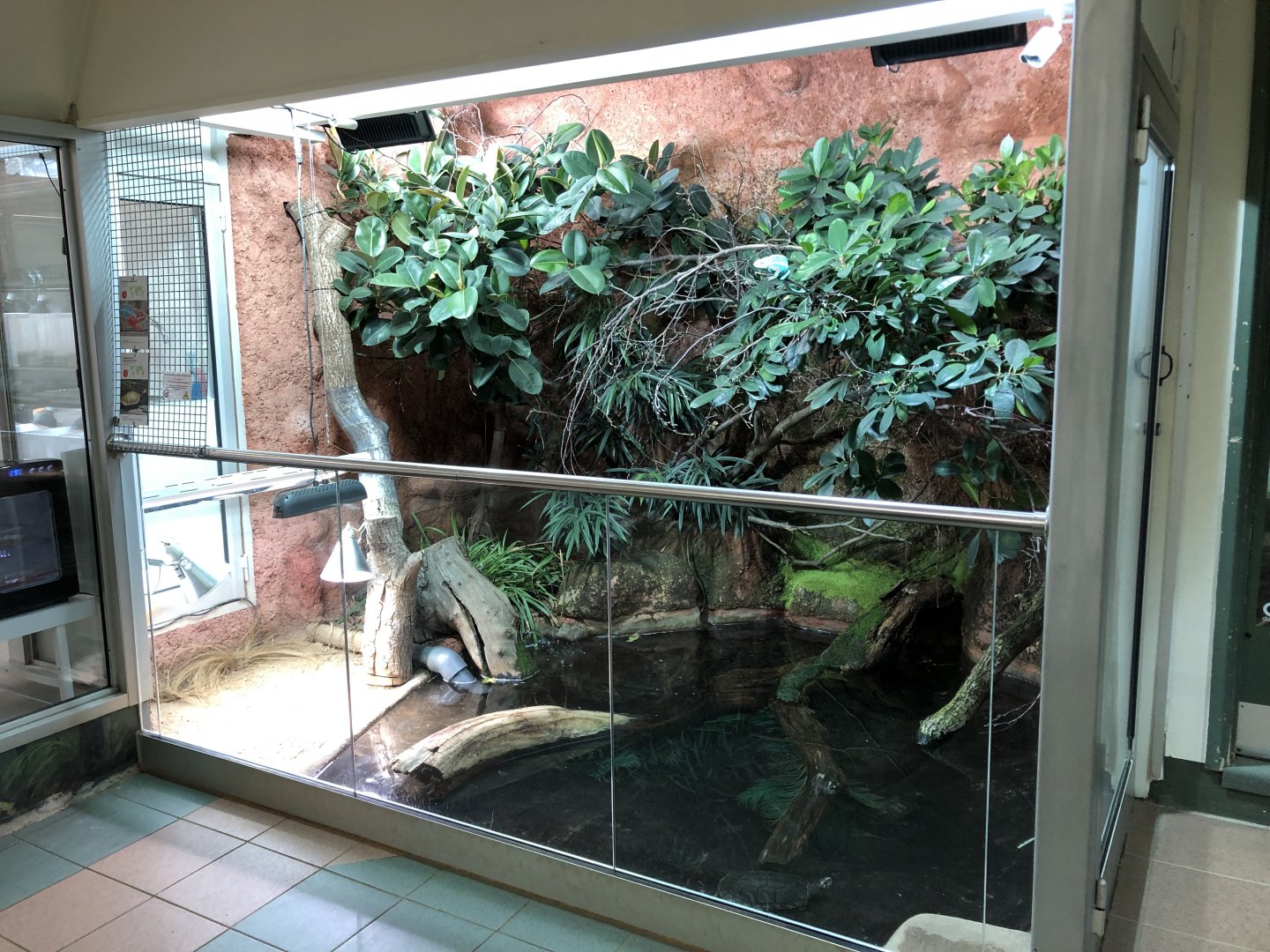 Panther Chameleon/Madagascar Big-Headed Turtle Enclosure