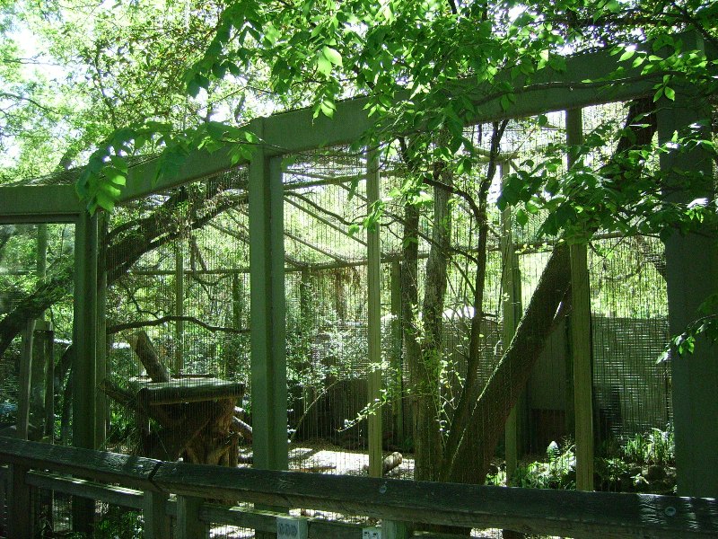 Panther/Jaguar Enclosure - Florida Wildlife Center