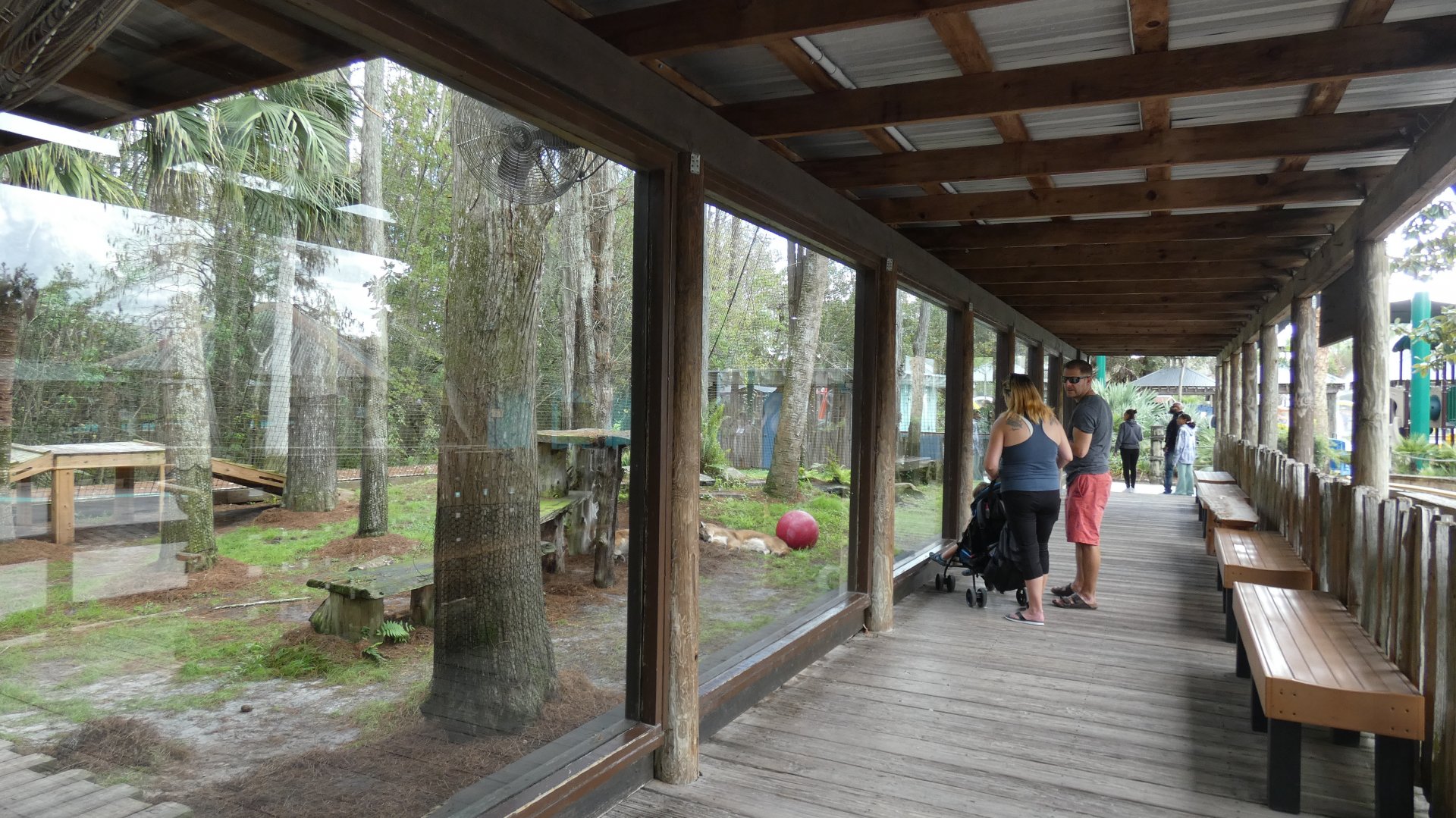 Panther Springs - Jan. 2022