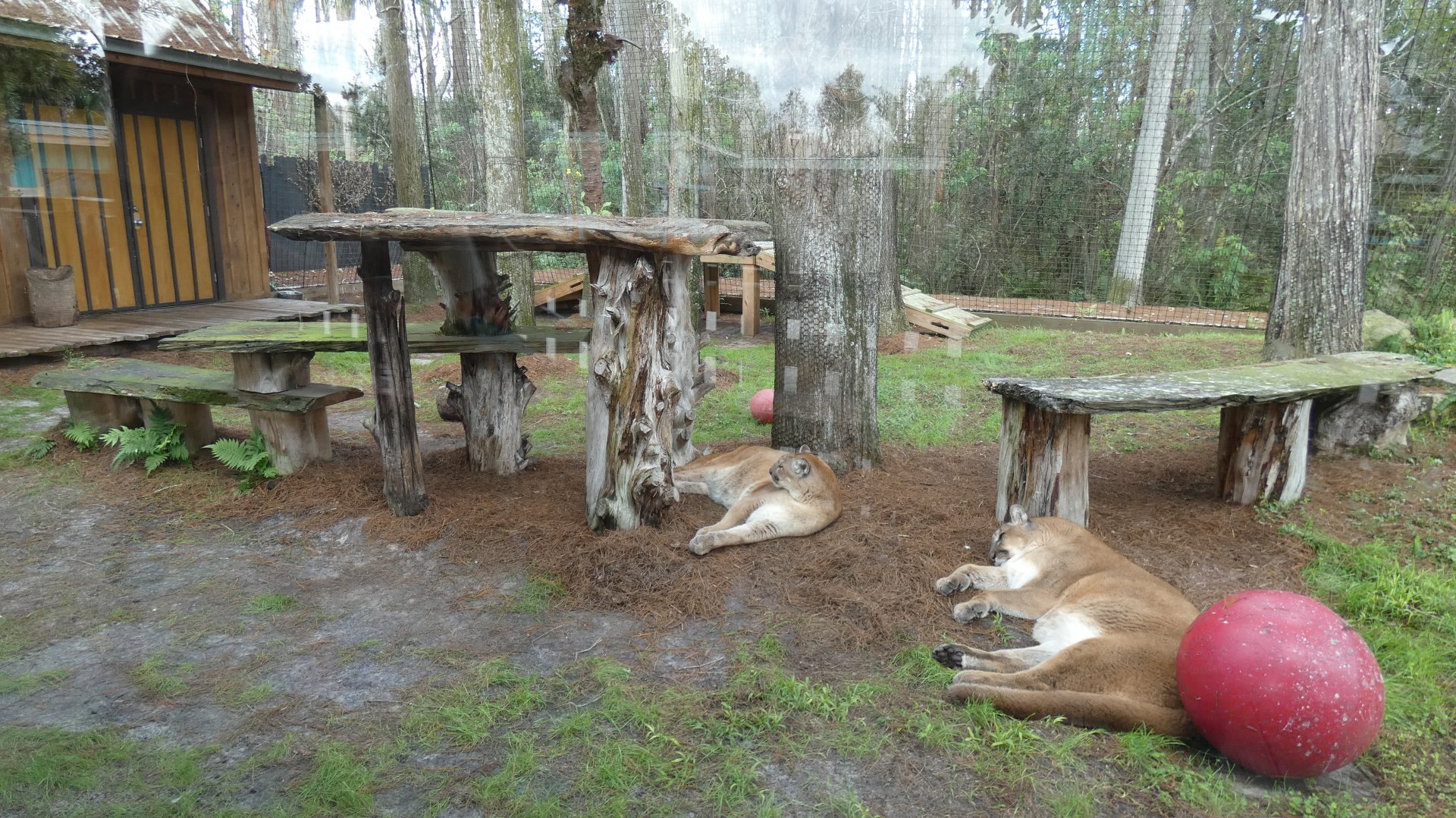 Panther Springs - Jan. 2022