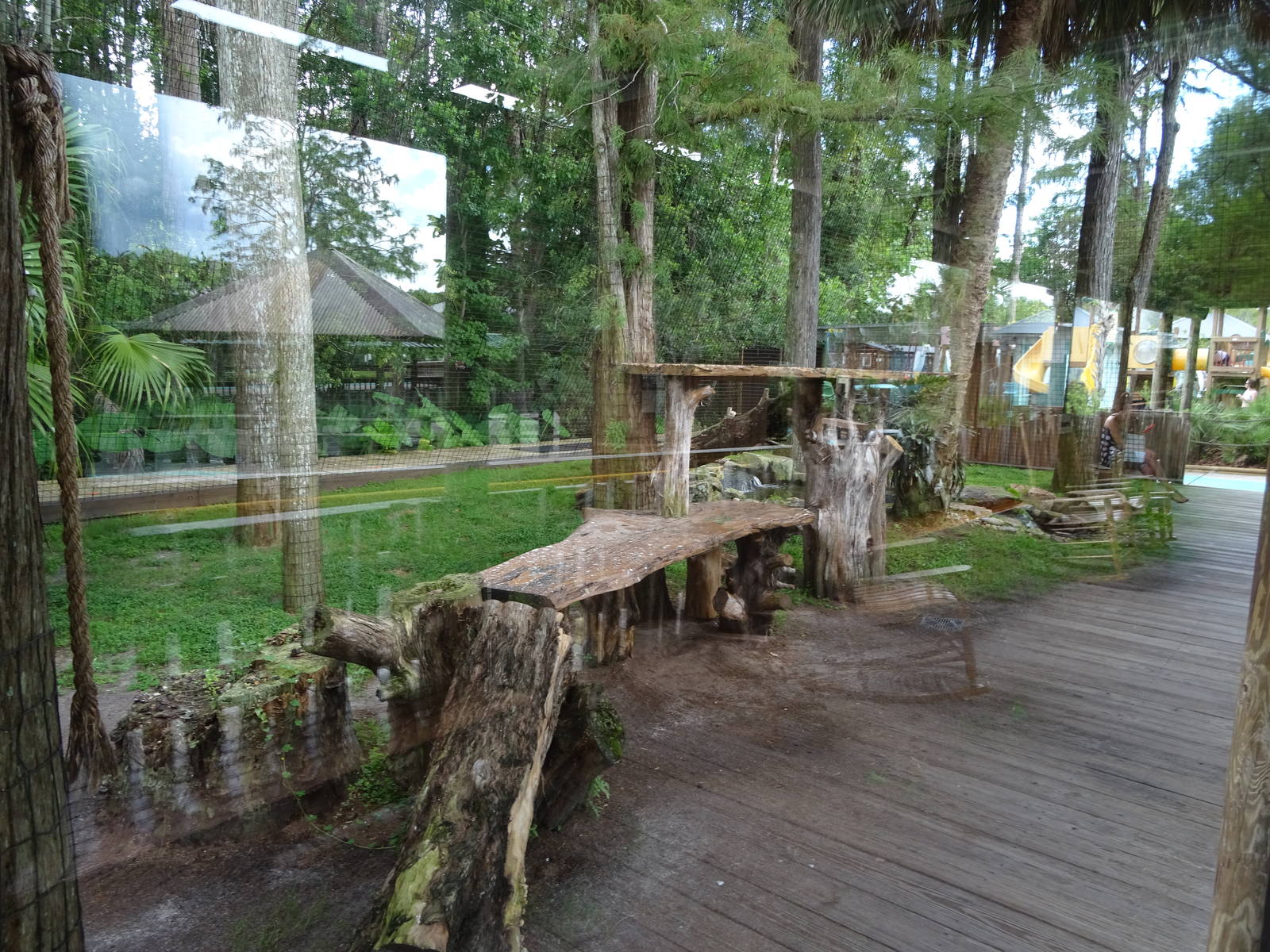 Panther Springs - Panther Exhibit at Gatorland