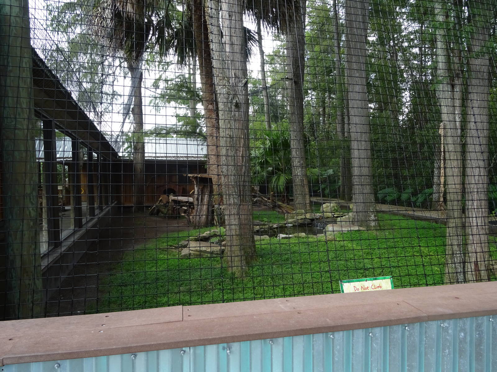 Panther Springs - Panther Exhibit at Gatorland