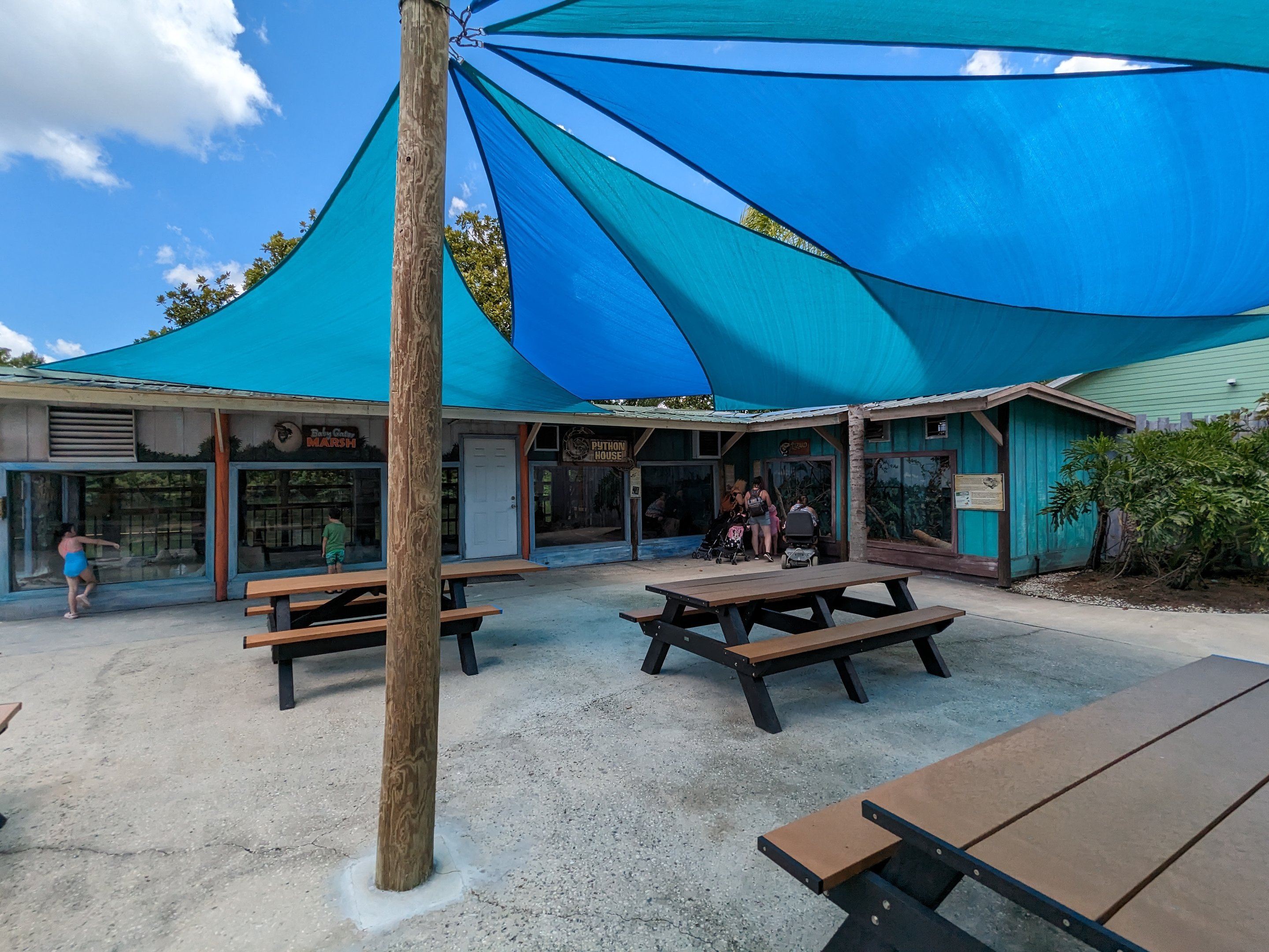 Panther Springs - reptiles