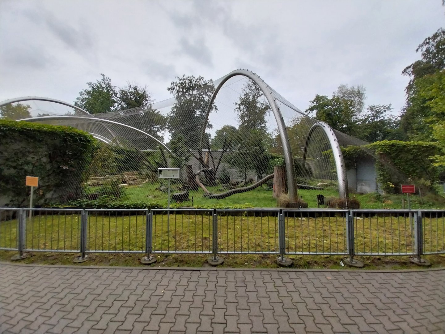 Panthera complex - Asiatic Lion enclosure