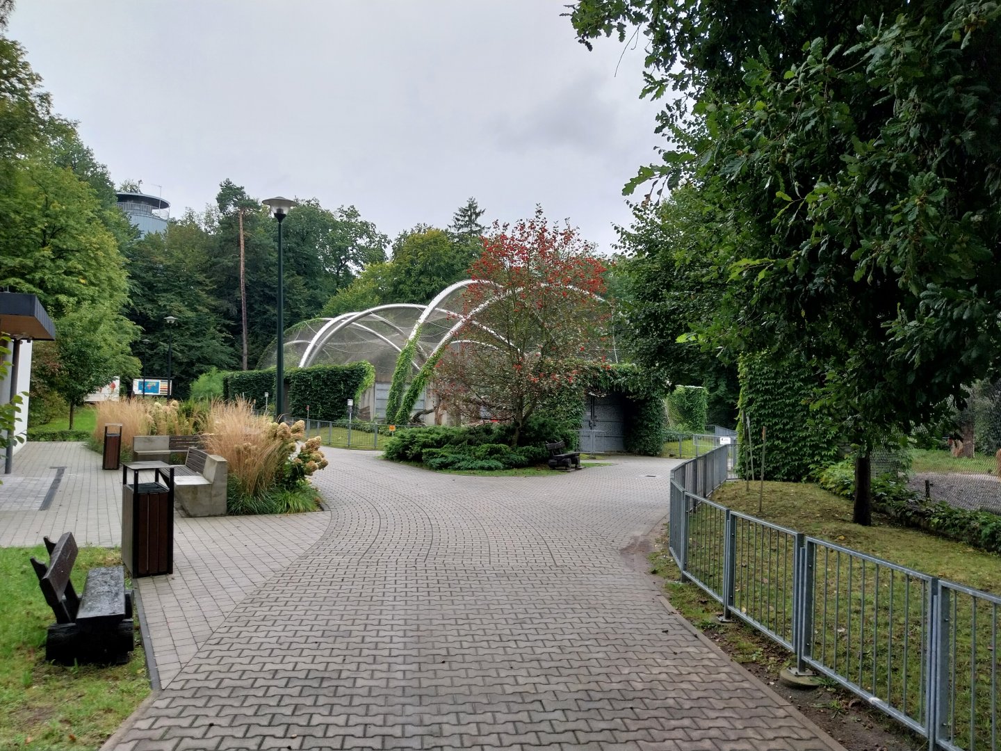 Panthera complex - General view