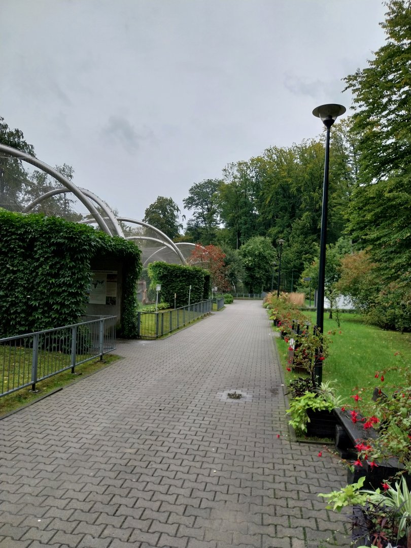 Panthera complex - General view