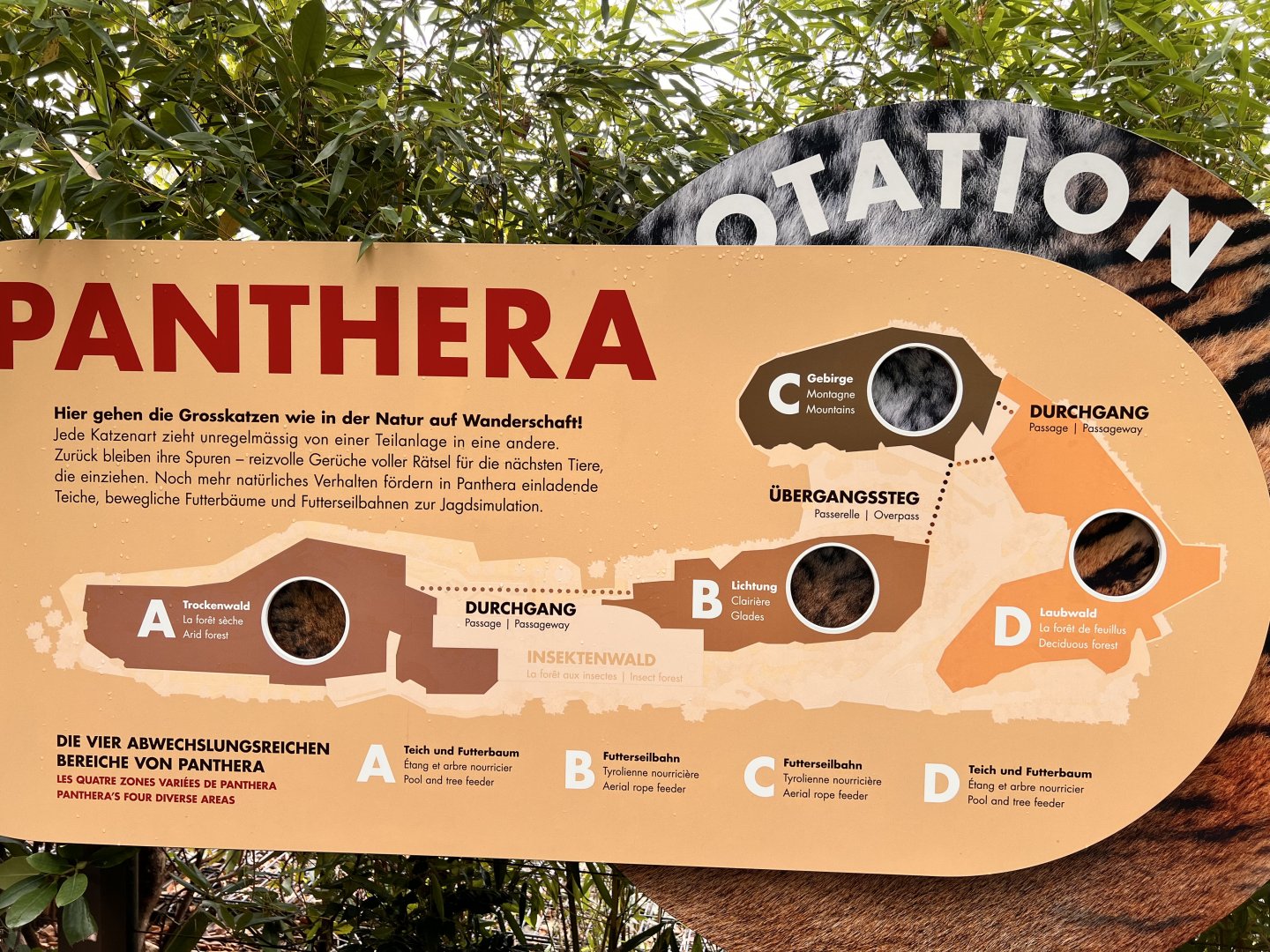 Panthera- Complex Map