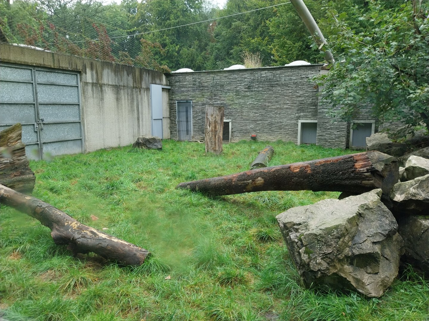 Panthera complex - Snow leopard enclosure