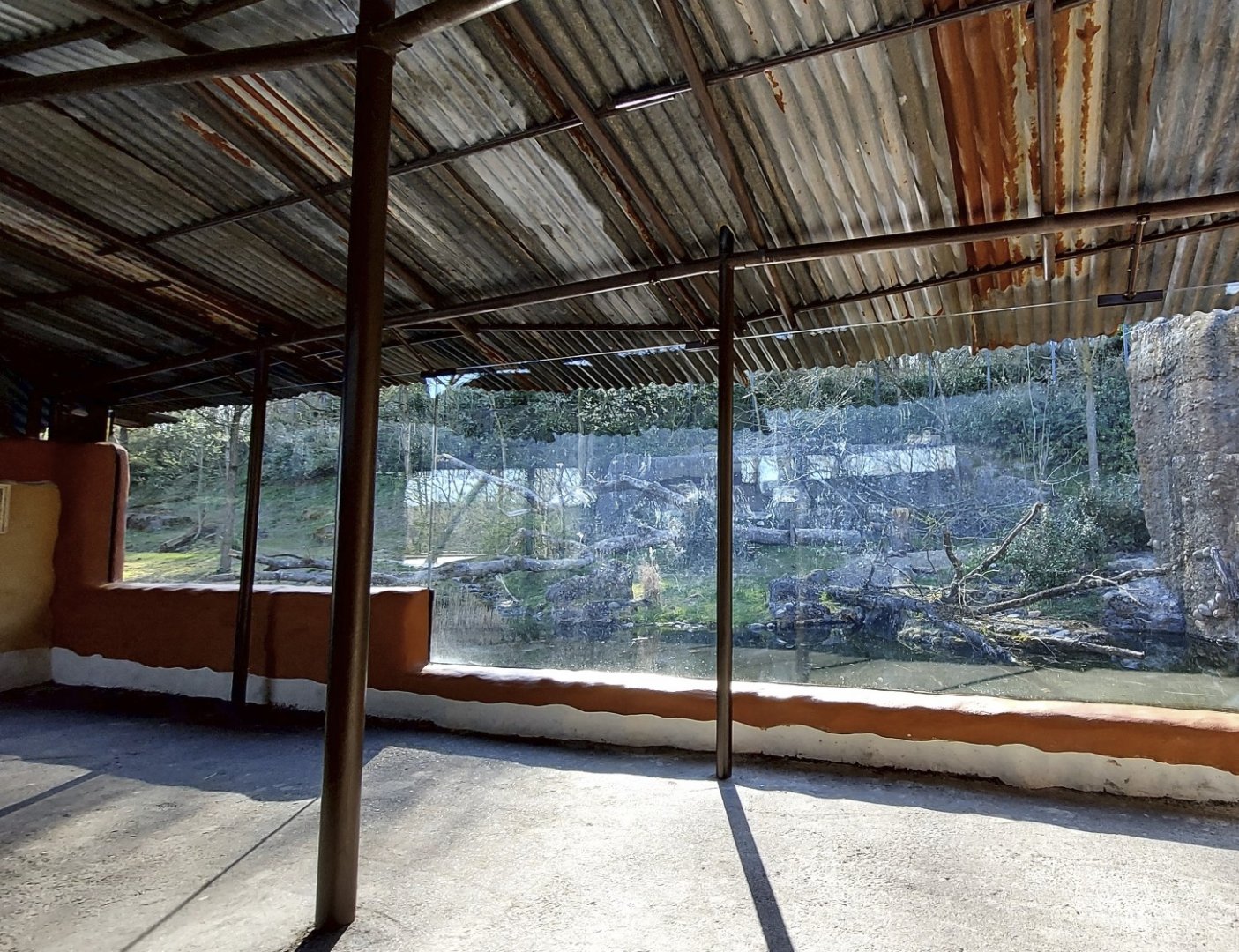 Panthera former asiatic lion enclosure main viewing area
