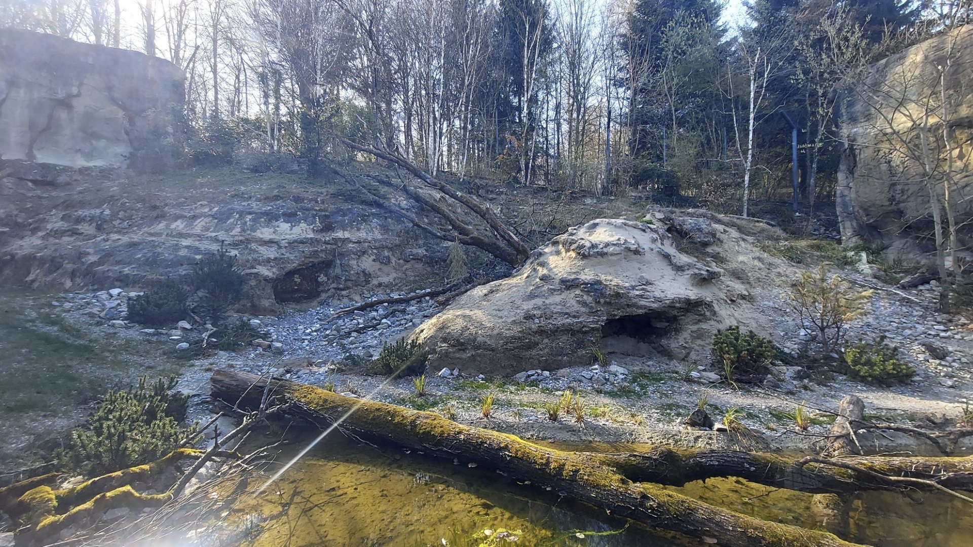 Panthera former snow leopard enclosure first viewing area view