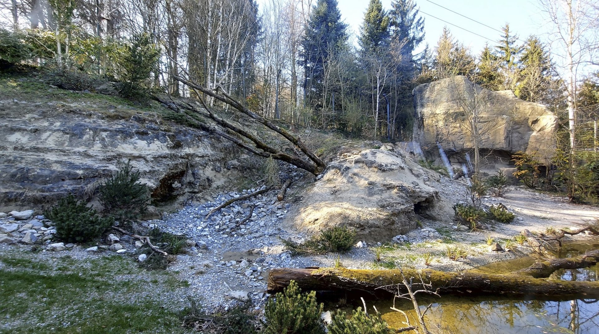 Panthera former snow leopard enclosure second viewing area view towards new pond