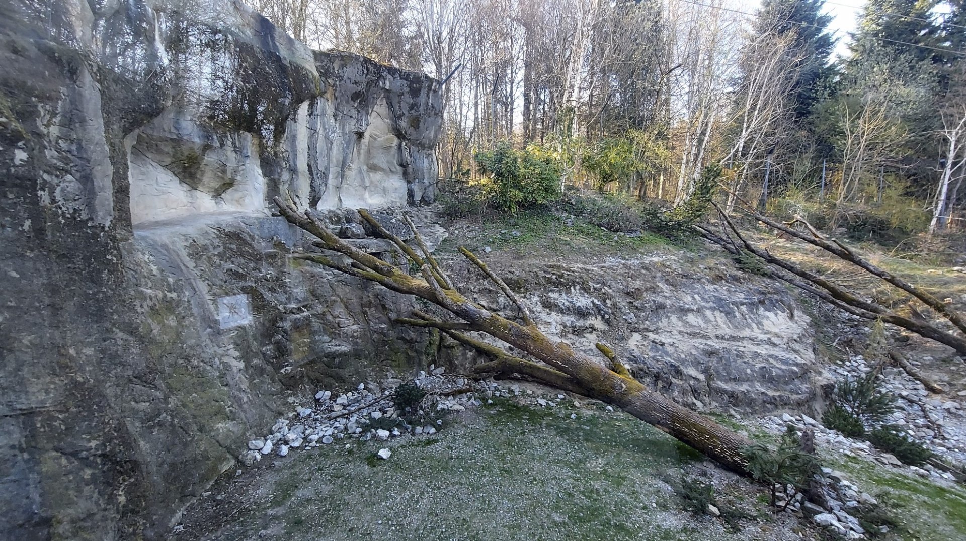 Panthera former snow leopard enclosure third and top viewing area view