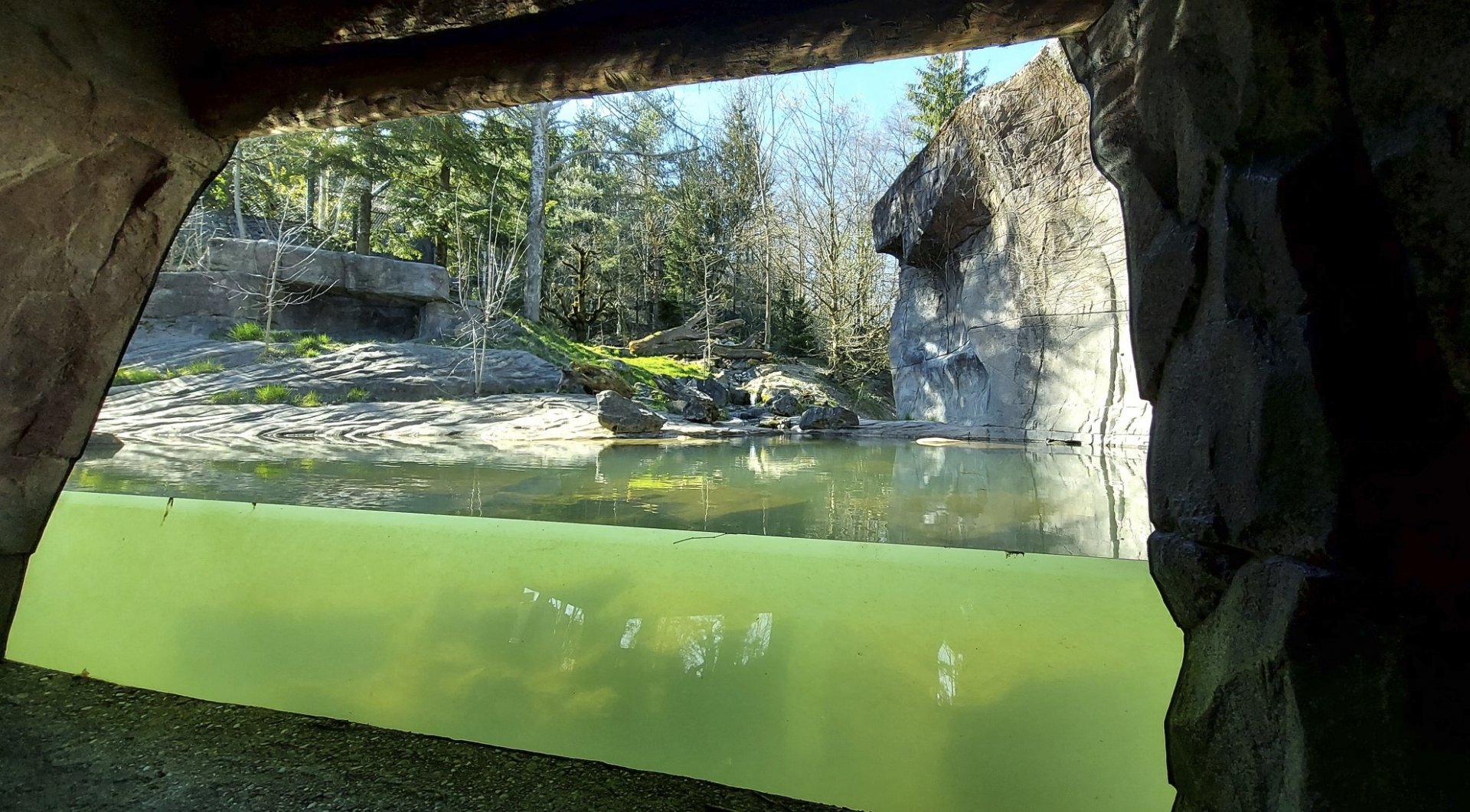 Panthera former tiger enclosure main viewing area