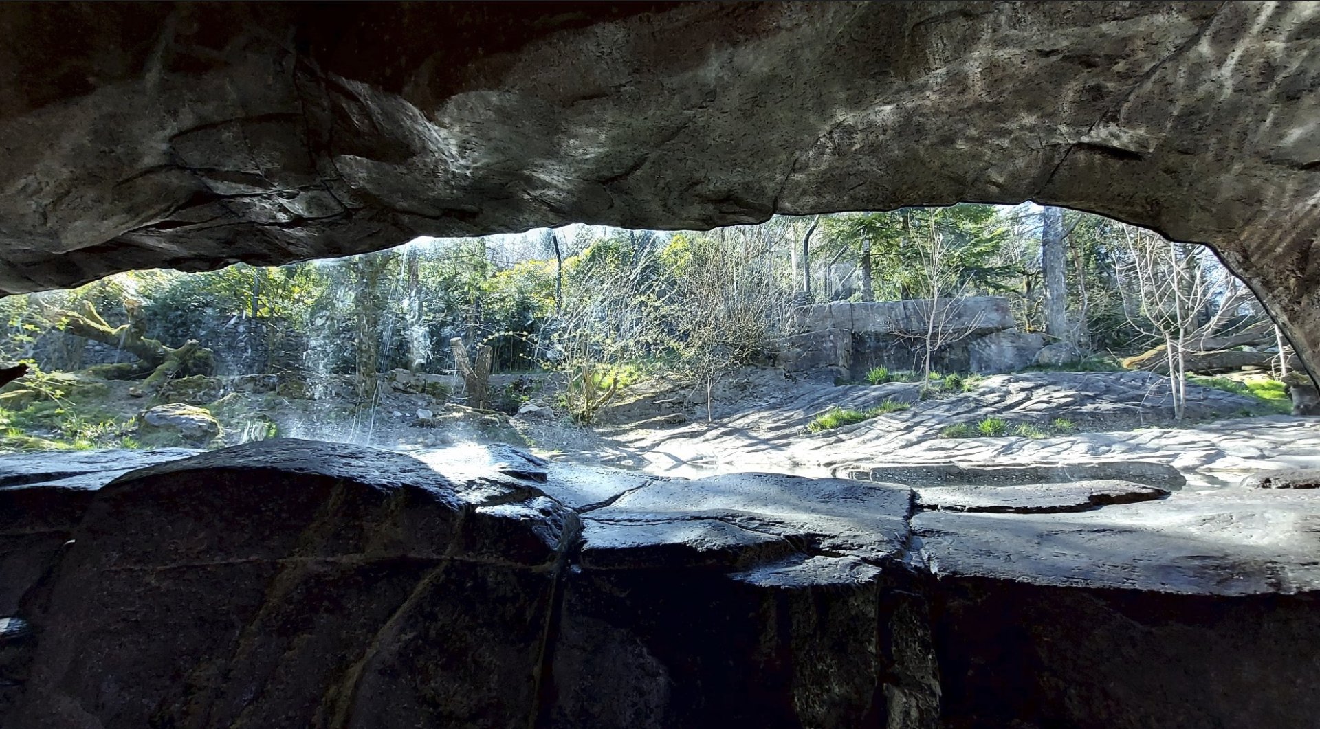 Panthera former tiger enclosure main viewing area