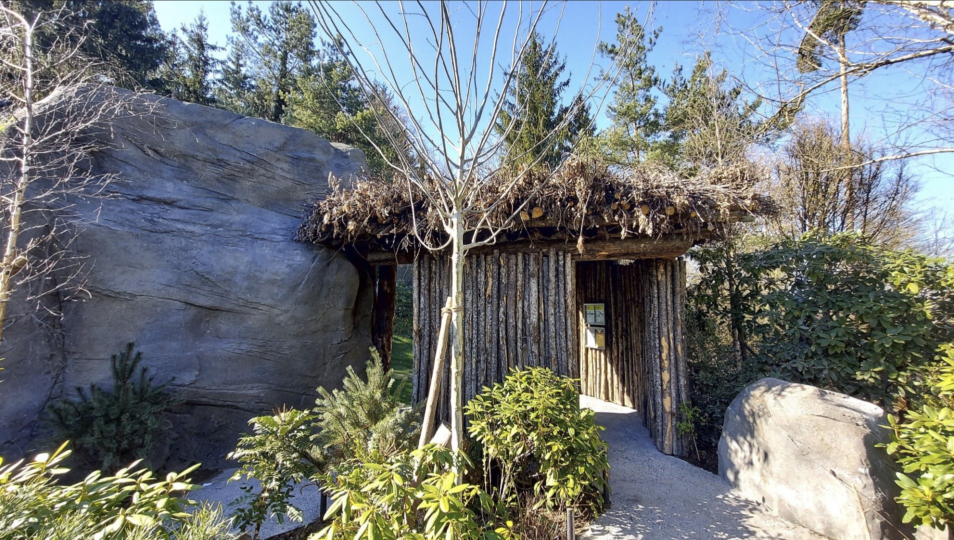 Panthera former tiger enclosure redesigned upper viewing area