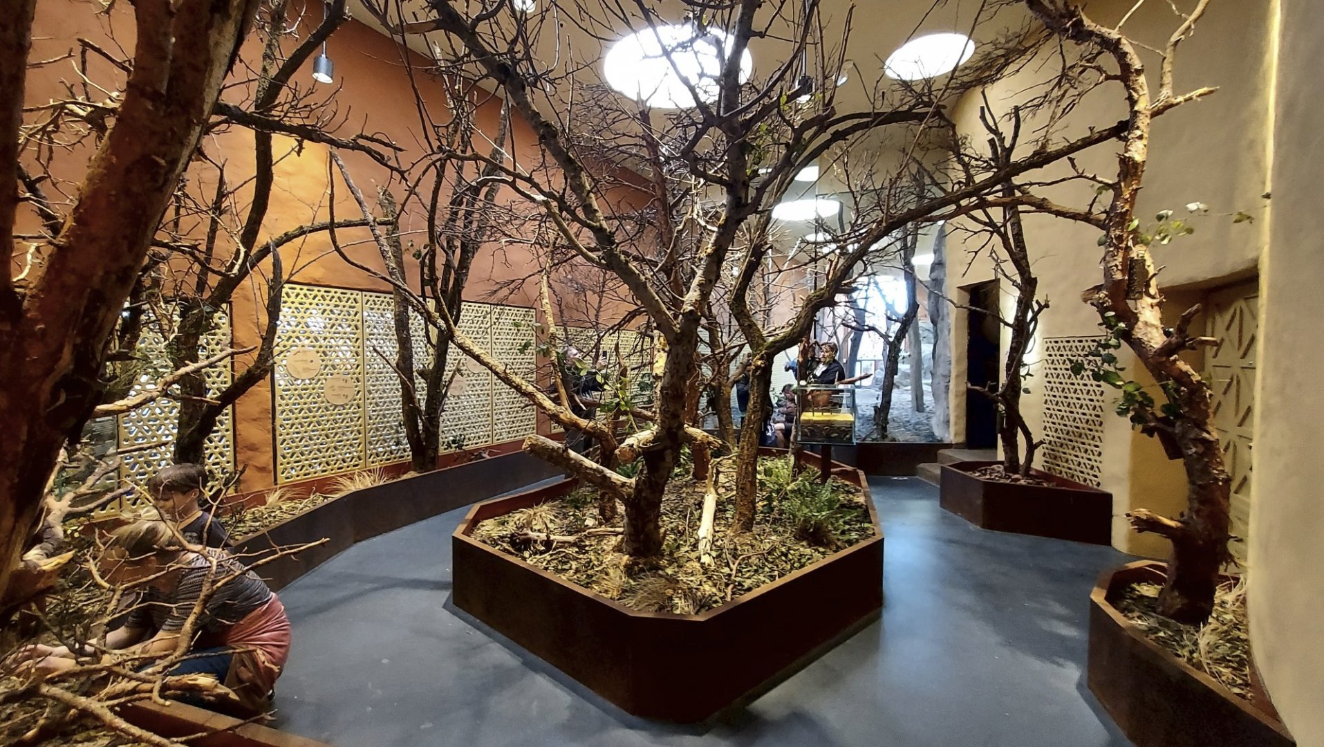 Panthera Insect Forest and big cat indoor holding and viewing and former asiatic lion indoors