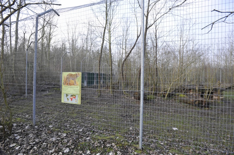 Panthera pardus kotiya enclosure