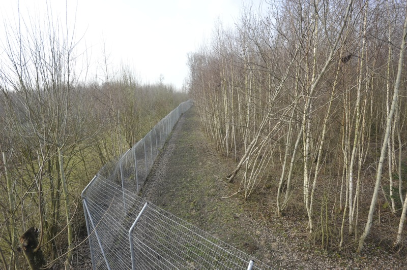 Panthera tigris altaica enclosure