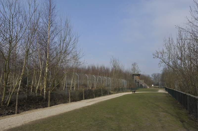 Panthera tigris altaica enclosure