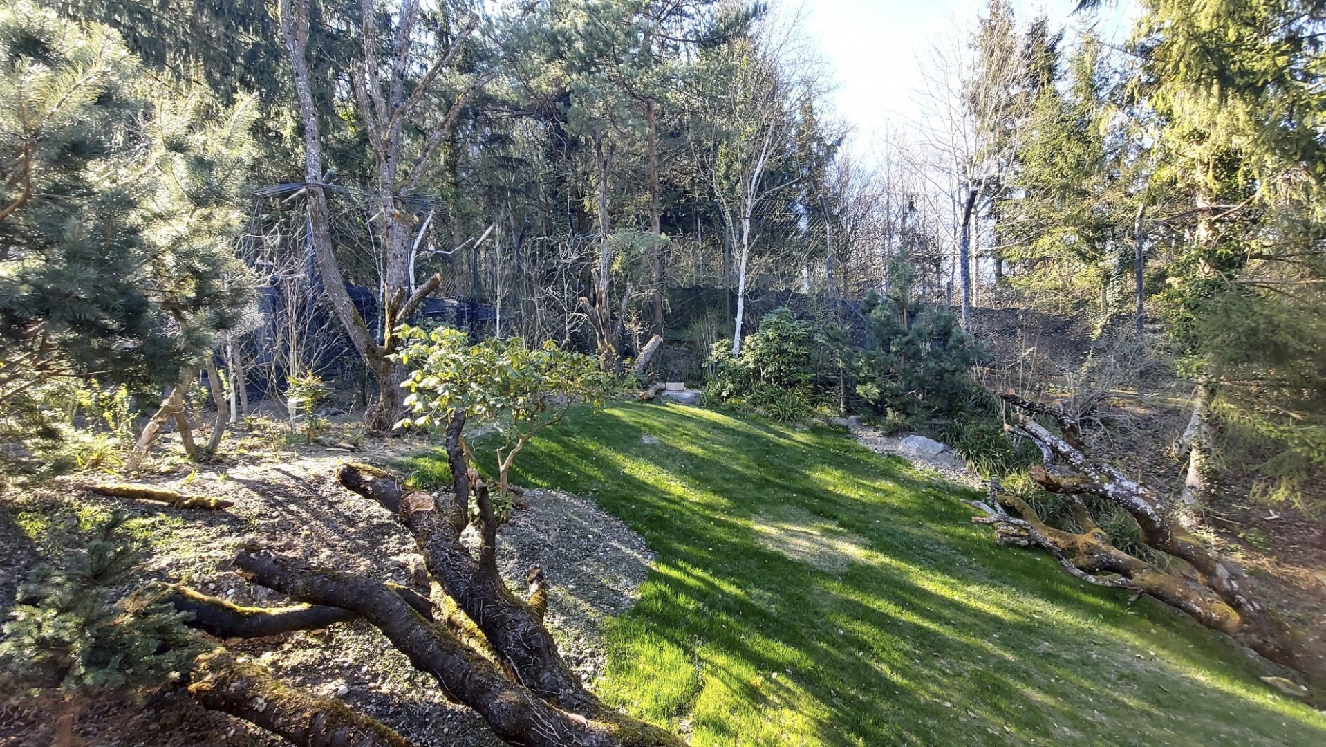 Panthera upper part of former tiger enclosure
