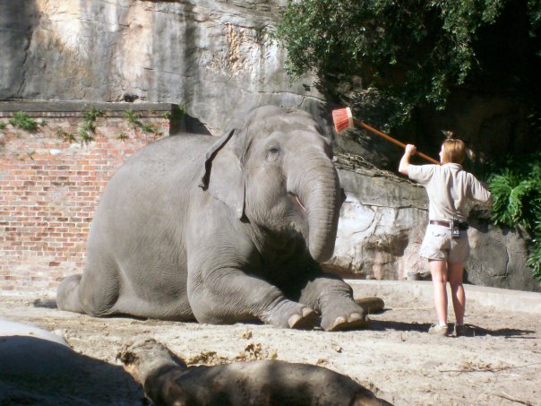 Panya enjoys a good scrubbing.