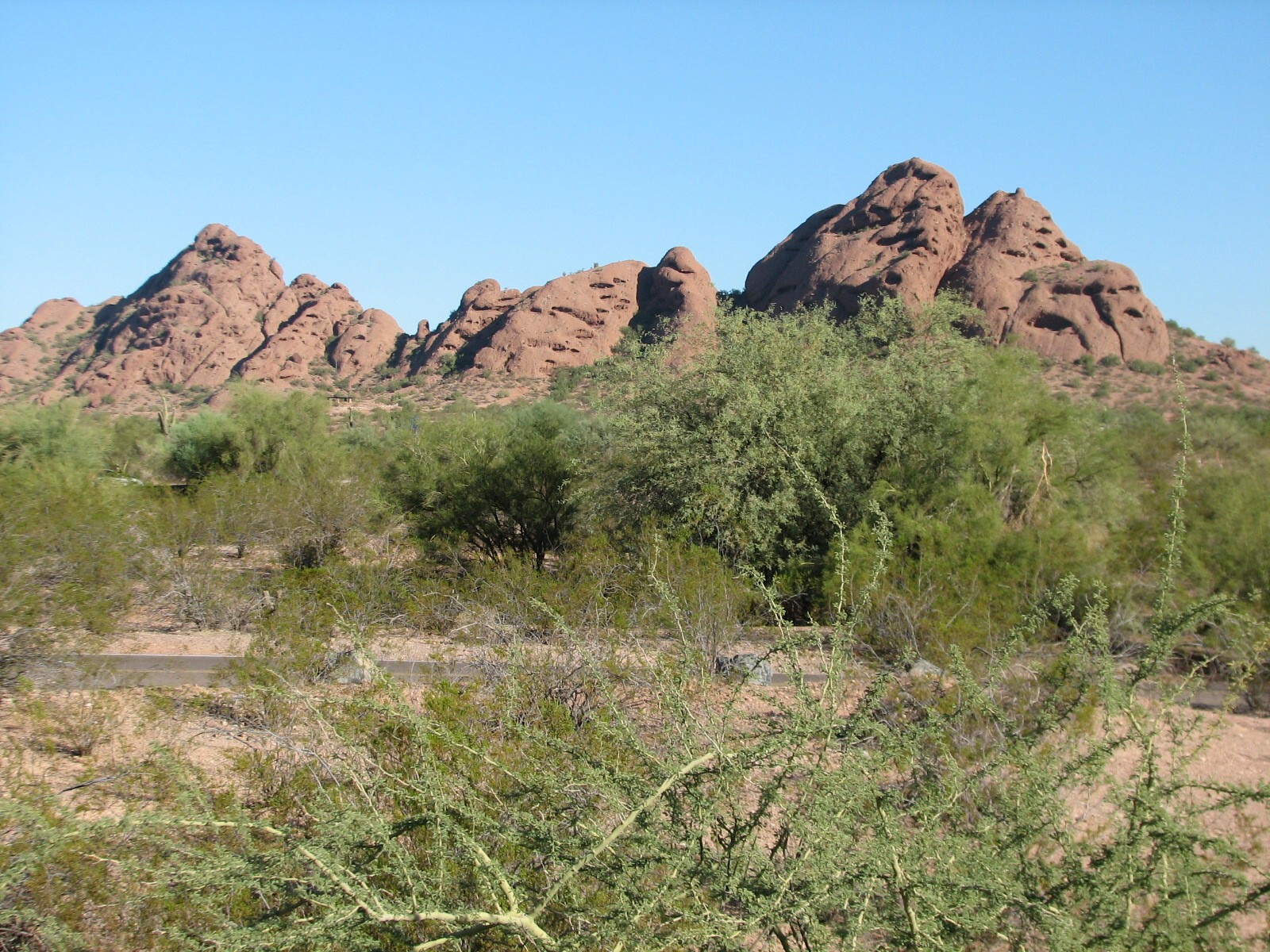 Papago Park, the Zoo's Location
