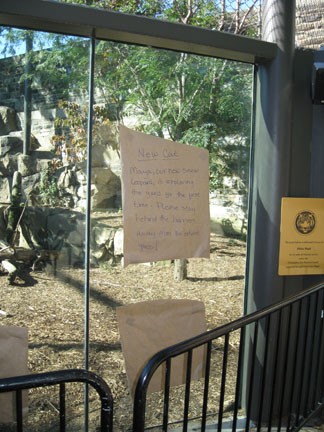 paper on exhibit glass