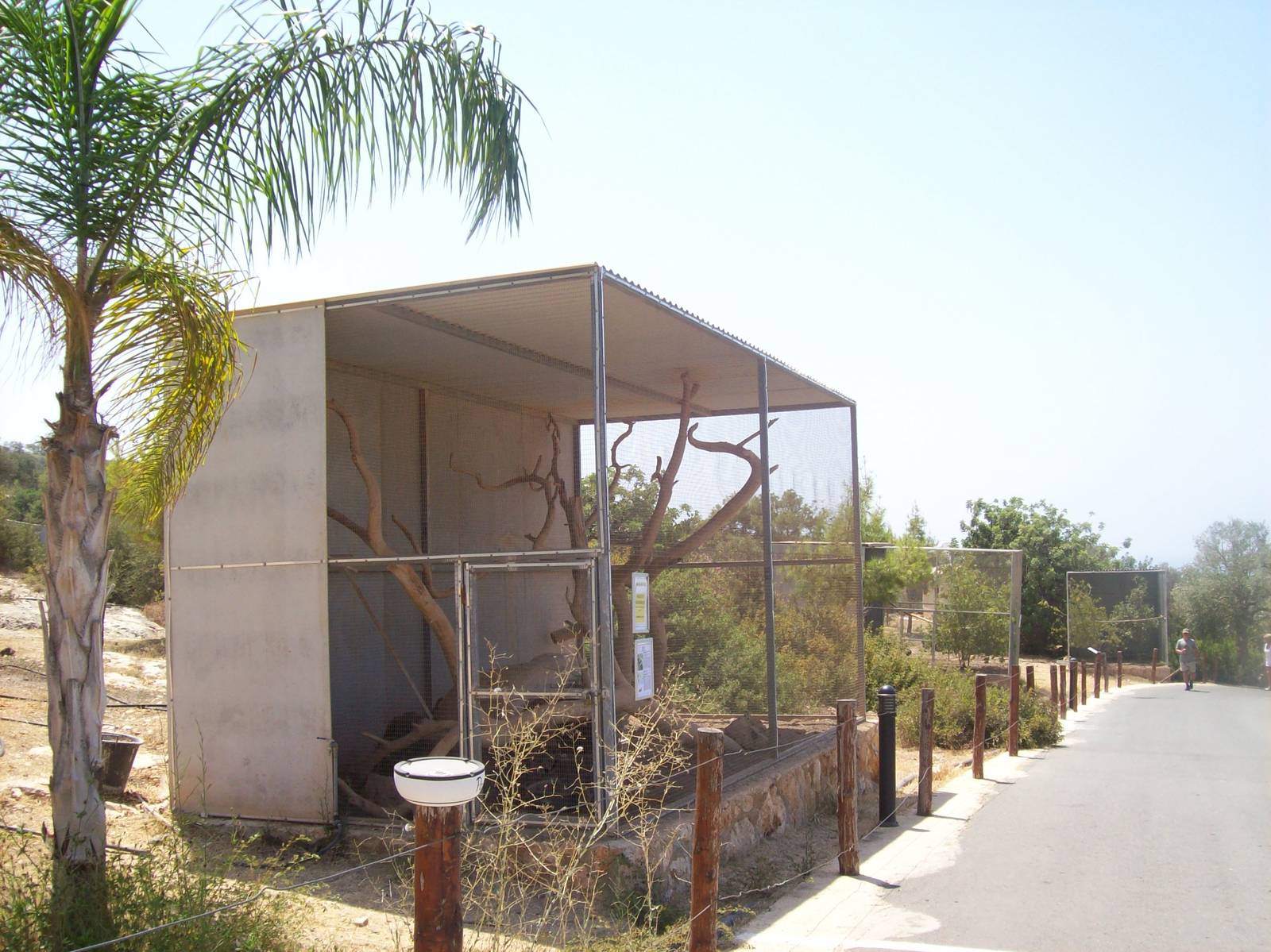 Paphos bird park