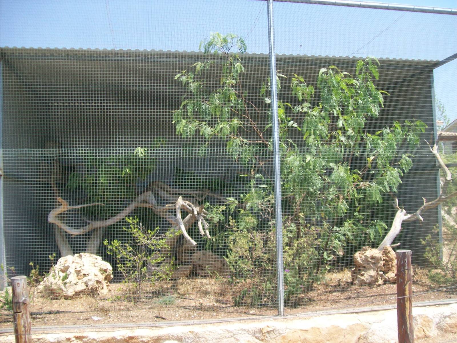Paphos bird park