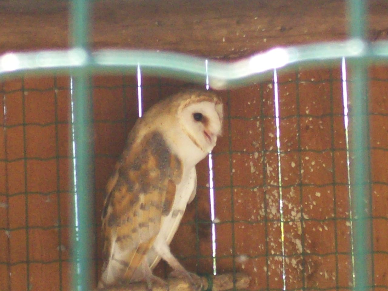 Paphos bird park