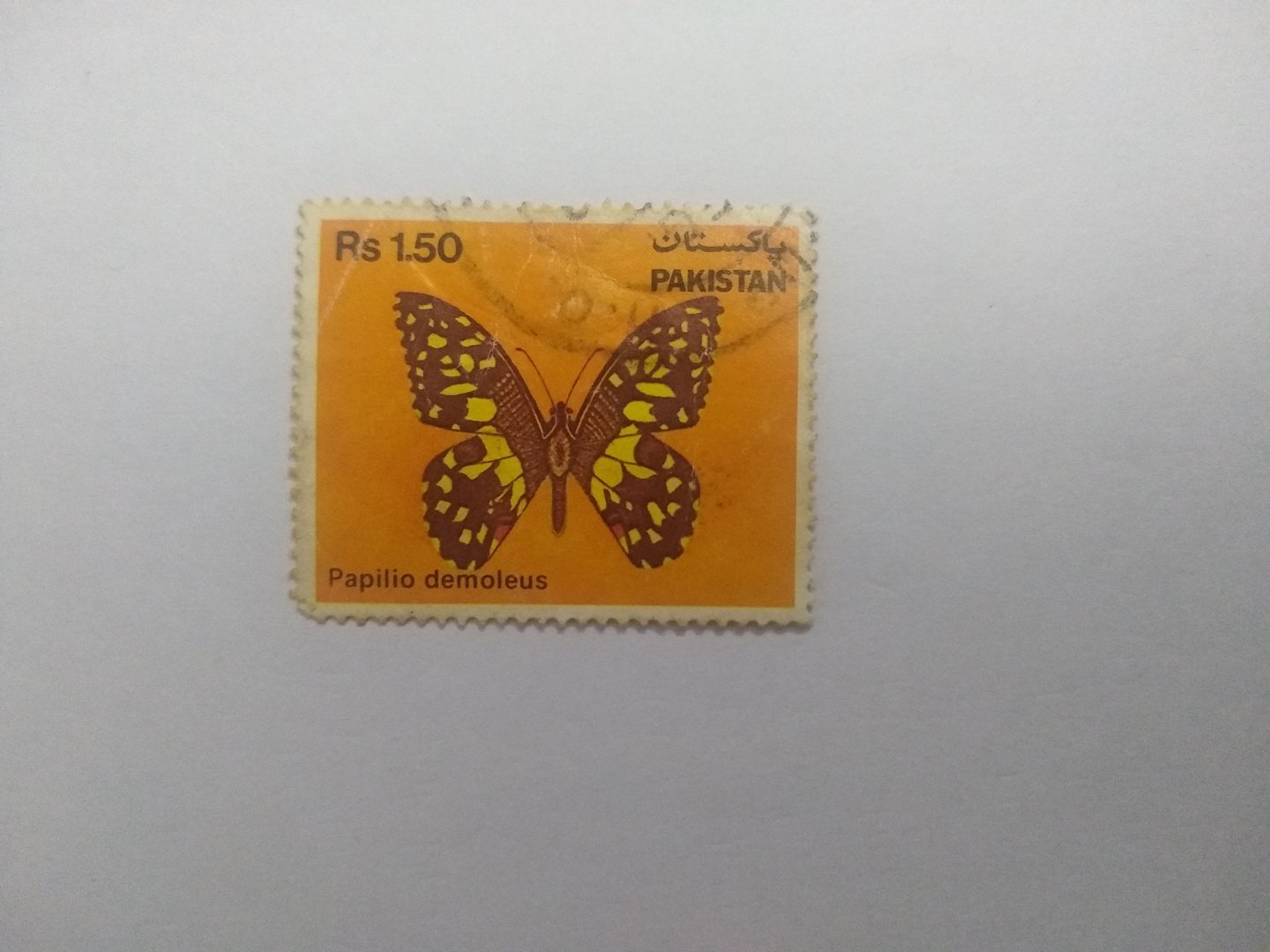 Papilio demoleus - Postage stamp Pakistan