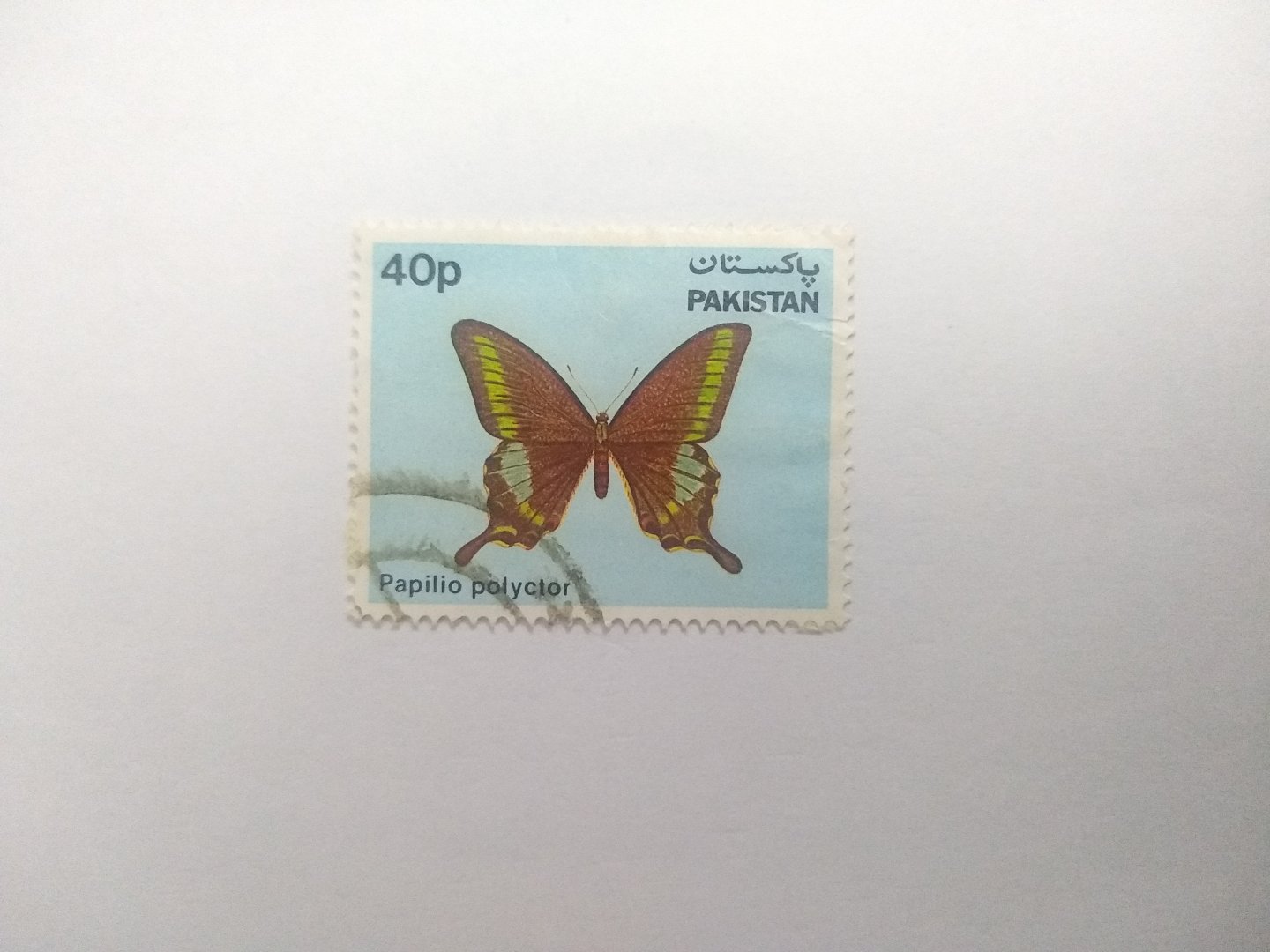 Papilio polyctor - Postage stamp Pakistan