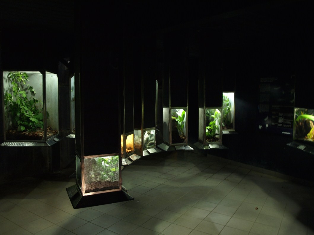 Papiliorama - Arthropodarium