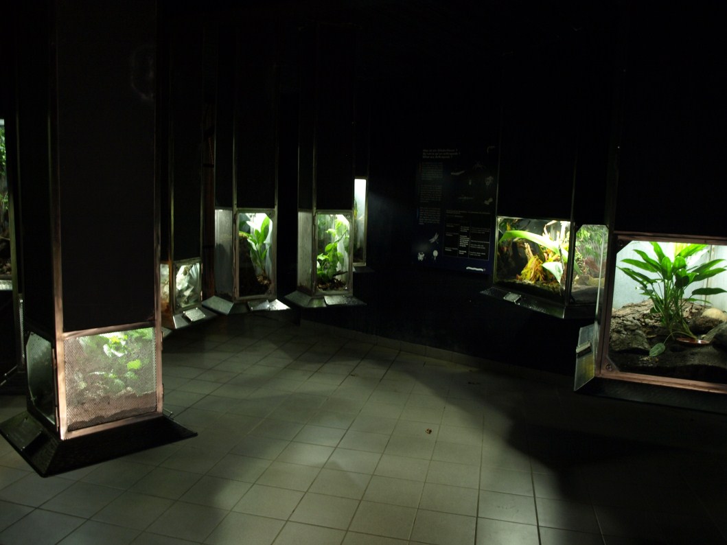 Papiliorama - Arthropodarium