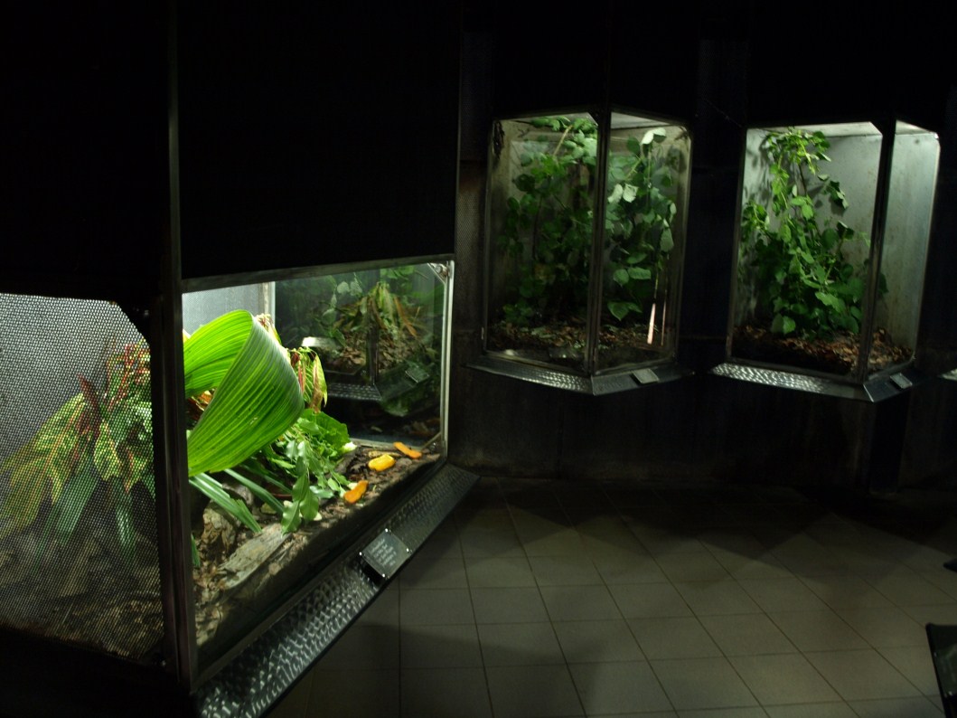 Papiliorama - Arthropodarium