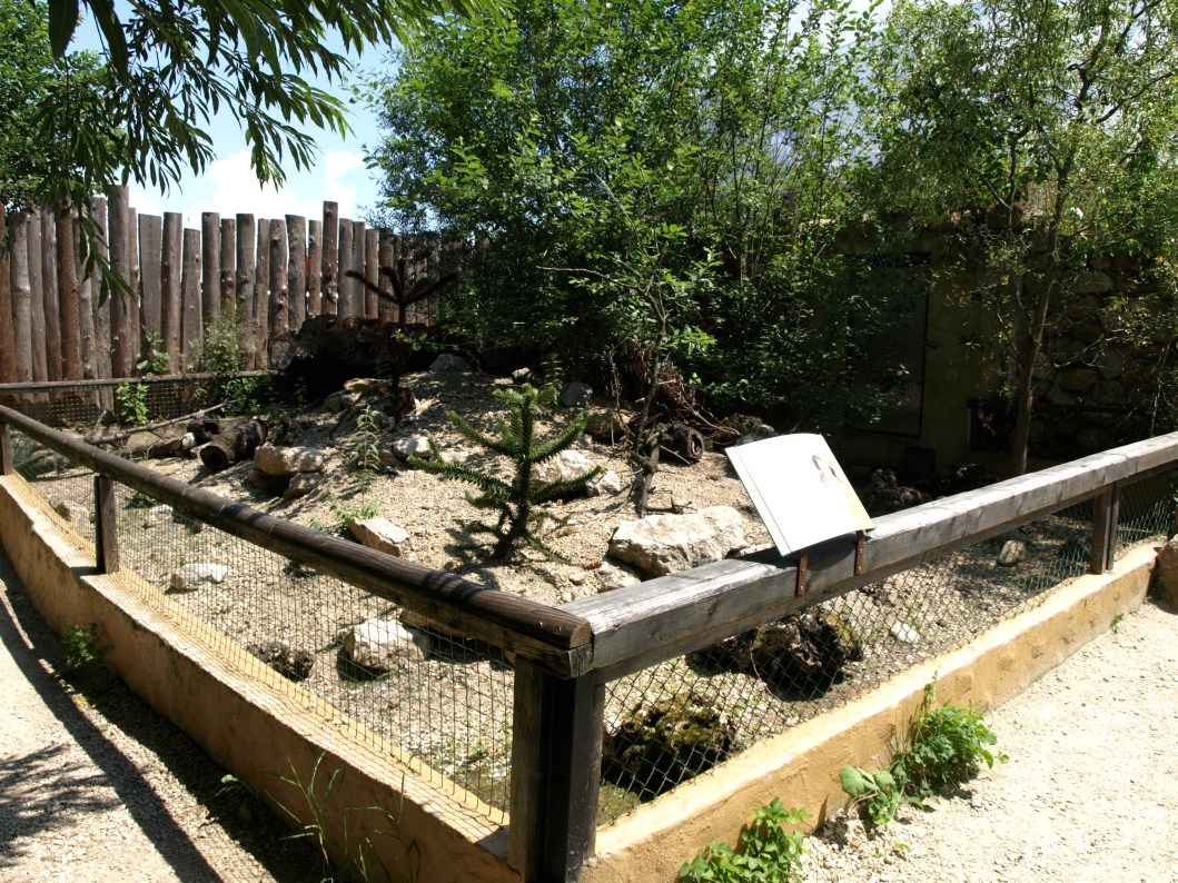 Papiliorama - Guinea pig exhibit