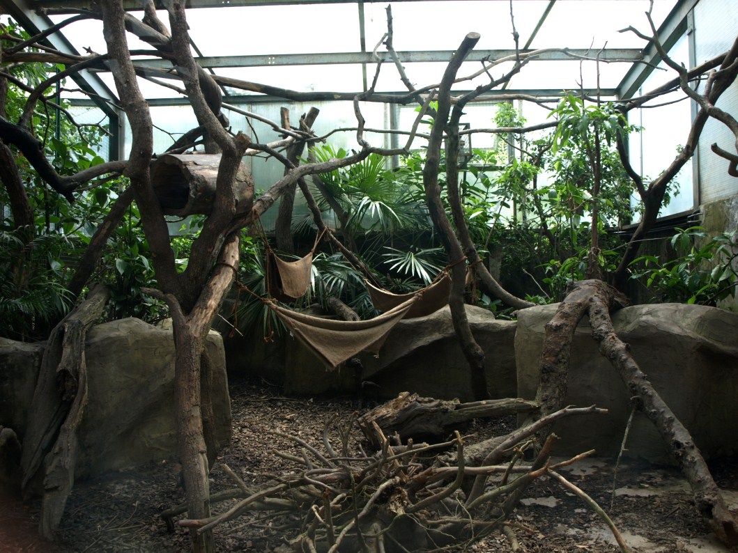 Papiliorama - Jungle Trek (Coati exhibit)