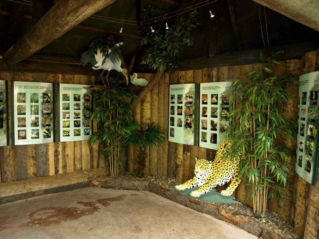 Papiliorama - Jungle Trek (Exhibtion)