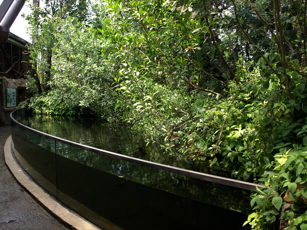 Papiliorama - Jungle Trek (Jungle pool)