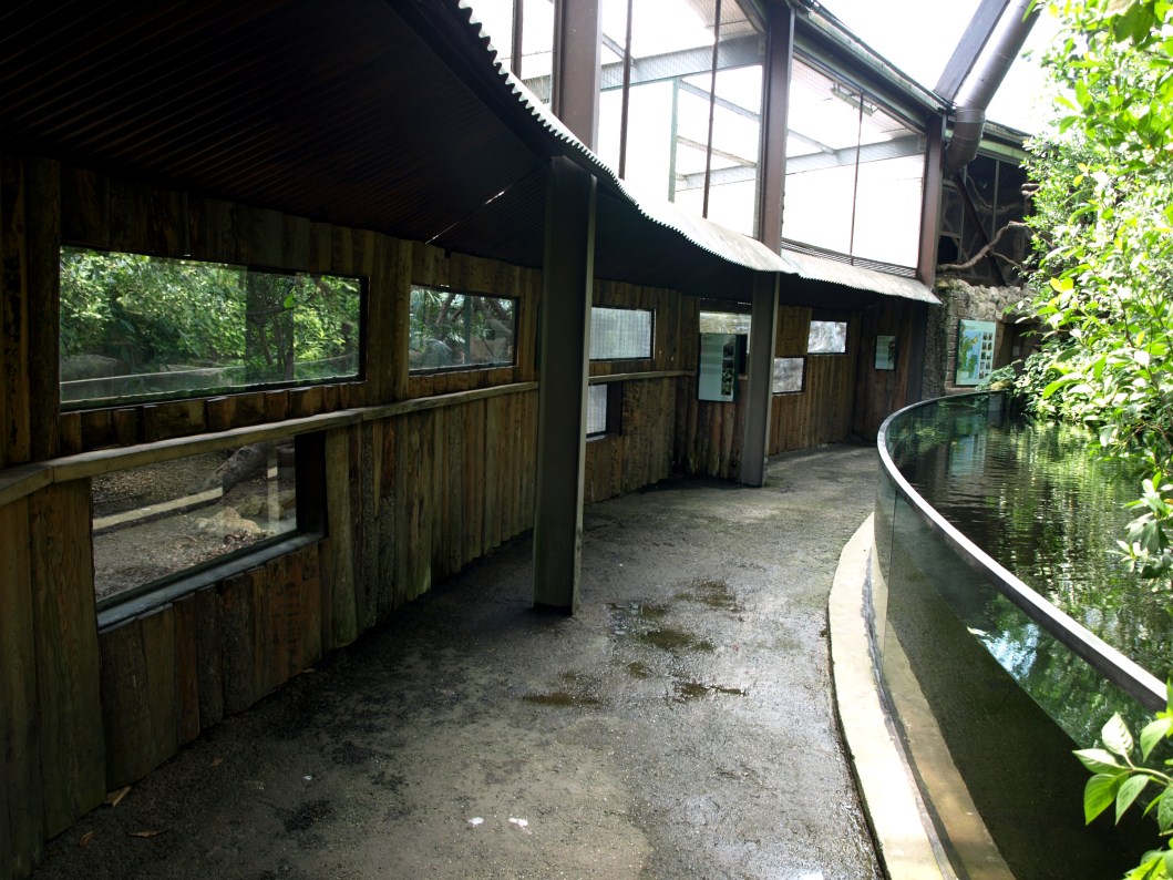 Papiliorama - Jungle Trek (Pathway/exhibits)