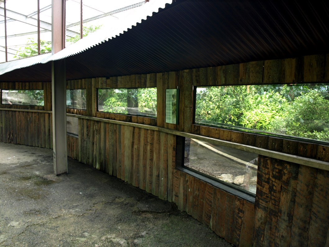 Papiliorama - Jungle Trek (Peccary exhibit)