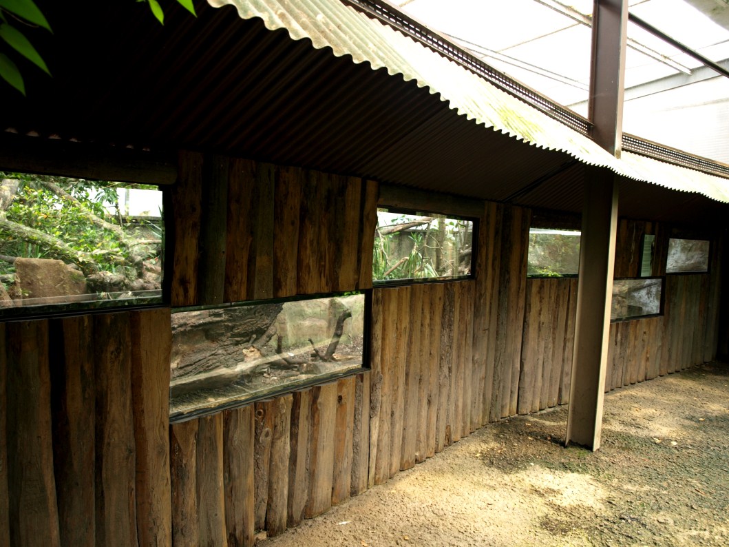 Papiliorama - Jungle Trek (Tayra exhibit)