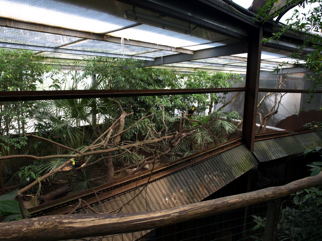 Papiliorama - Jungle Trek (Toucan exhibit)