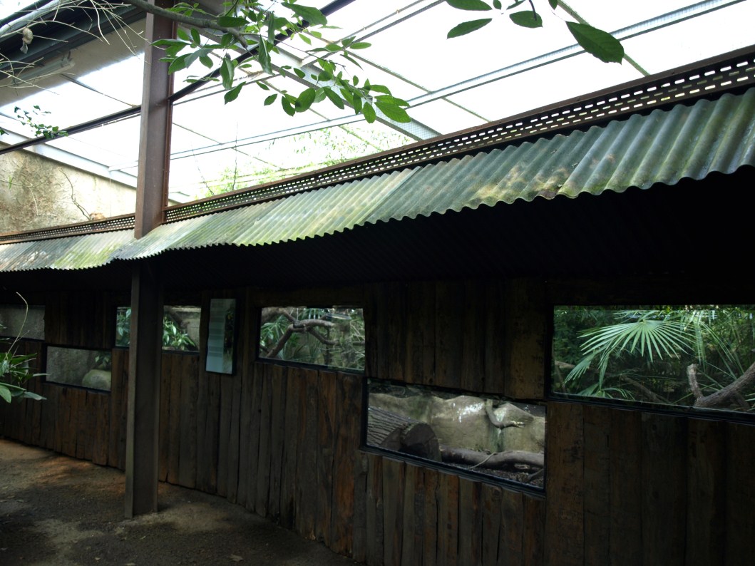 Papiliorama - Jungle Trek (Toucan exhibit)