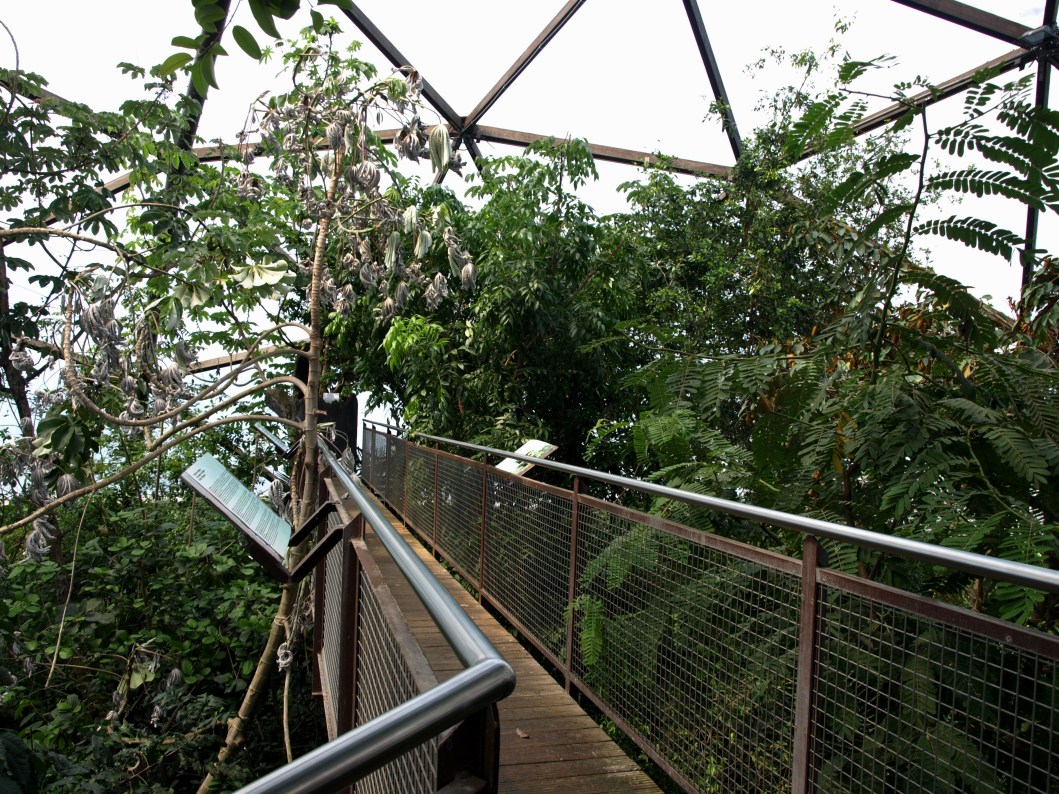 Papiliorama - Jungle Trek (Tree-Top Walk)