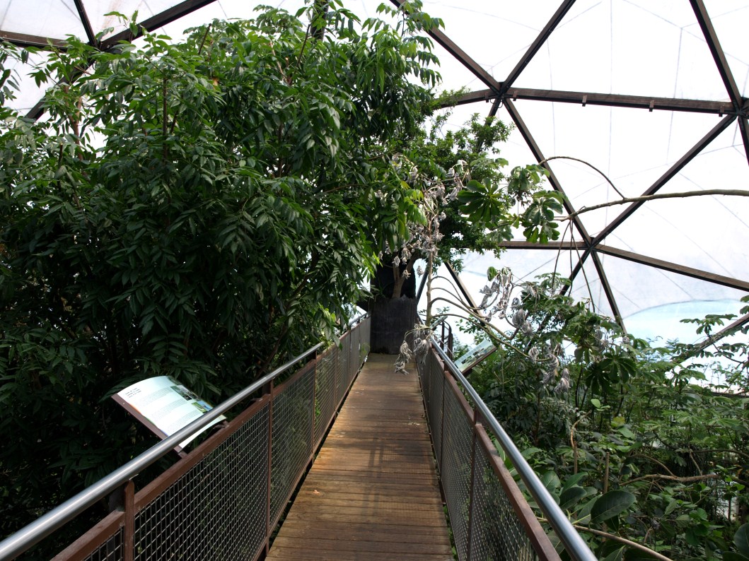 Papiliorama - Jungle Trek (Tree-Top Walk)