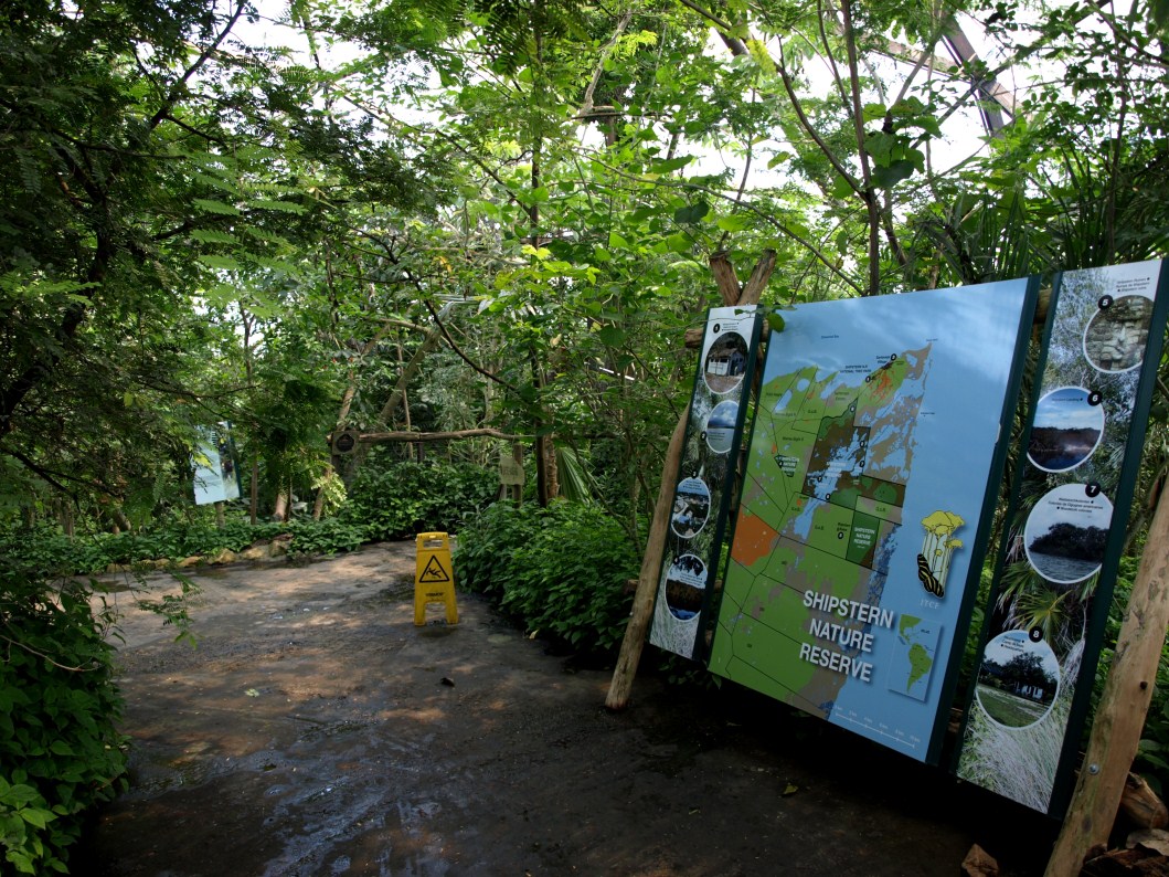 Papiliorama - Jungle Trek