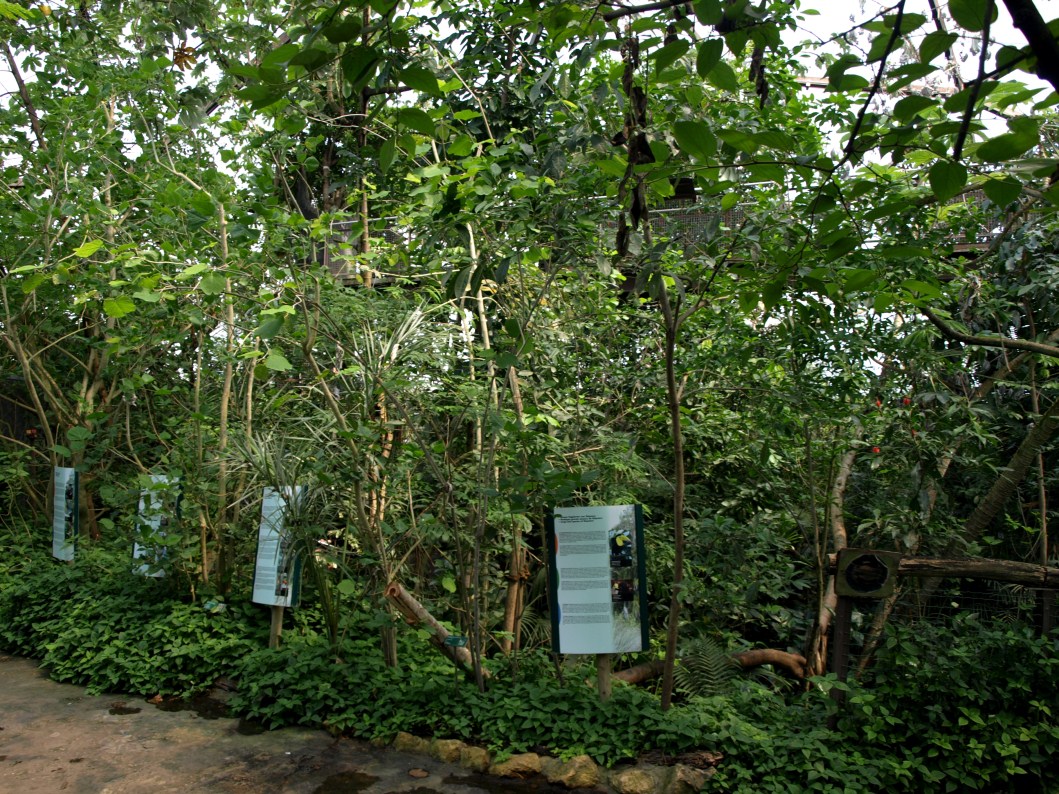 Papiliorama - Jungle Trek