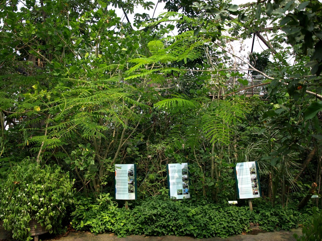 Papiliorama - Jungle Trek