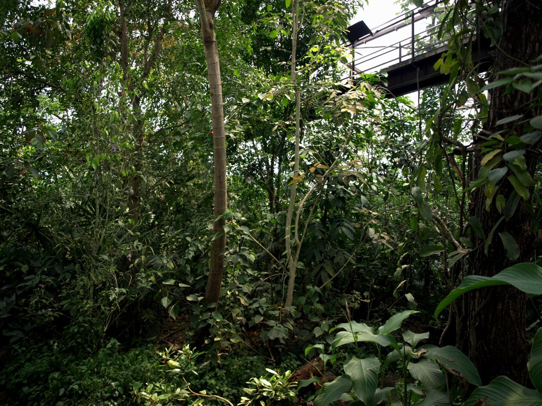Papiliorama - Jungle Trek